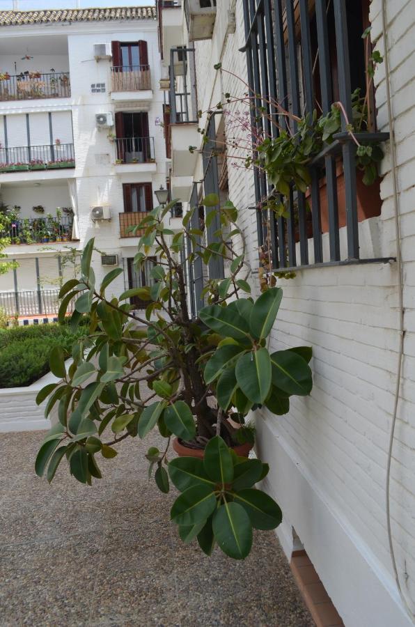 Appartement La Casa de José Manuel à Séville Extérieur photo